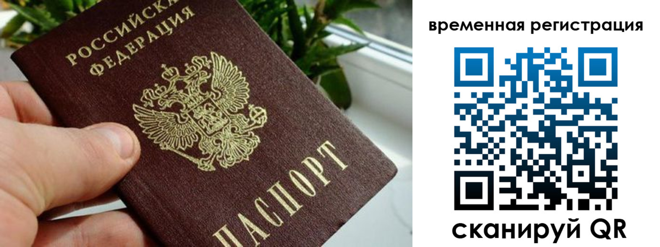 прописка поиск в Высоковске